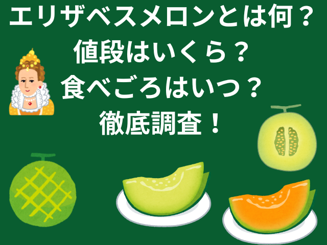 エリザベスメロンとは何？値段はいくら？食べごろはいつかも徹底調査！
